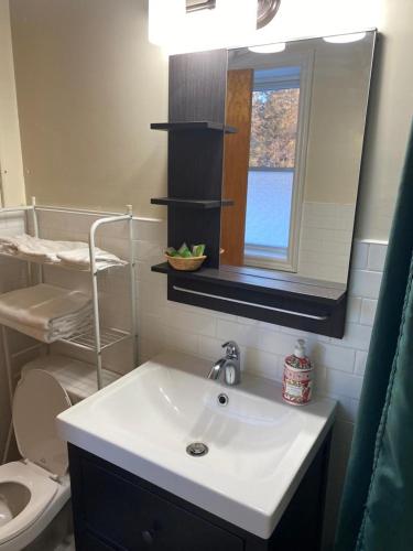 a bathroom with a sink and a mirror and a toilet at Huron Sands Motel and Restaurant in Providence Bay