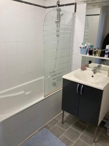 y baño con lavabo y ducha. en Appartement de la Brèche 44 m2 Wifi ,place Drouaise en Chartres