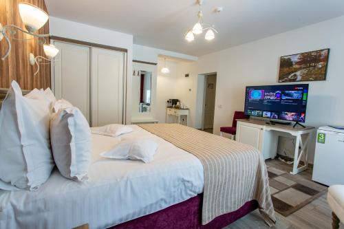 a hotel room with a bed and a television at Pensiunea Carmen`s Mansion B in Sinaia