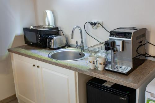 a kitchen counter with a sink and a coffee maker at Pensiunea Carmen`s Mansion B in Sinaia