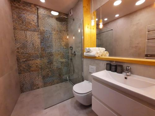 uma casa de banho com um WC, um lavatório e um chuveiro em Bastion Apartment Gdansk City Center em Gdansk
