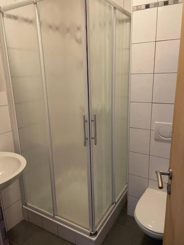 uma casa de banho com um chuveiro, um WC e um lavatório. em Appartement au Centre de Stavelot em Stavelot