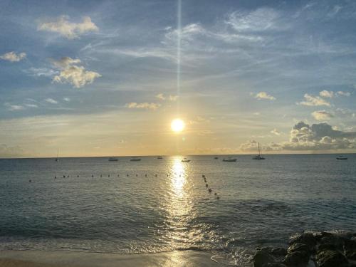 a sunset over the ocean with birds in the water at Tropical Sunset Beach Apartment Hotel in Saint James