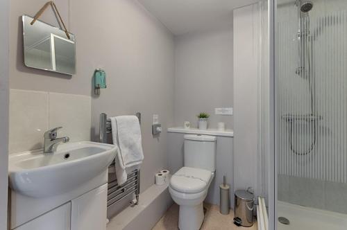 een badkamer met een wastafel, een toilet en een douche bij Alexandra Lodge in Swansea