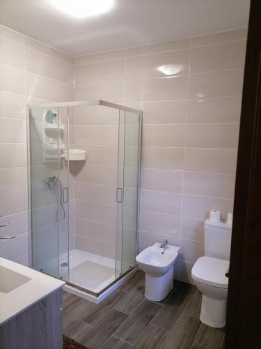 a bathroom with a shower and a toilet and a sink at Quinta Do Fijo in Arcos de Valdevez