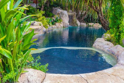 a small pool of blue water in a garden at Sweetfield Manor in Bridgetown