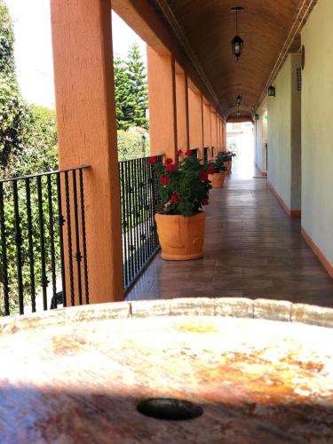 a hallway with potted plants on a building at Casa Grande in Zacatlán