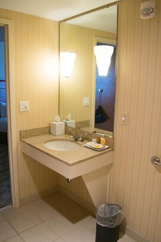 a bathroom with a sink and a large mirror at The Inn at Virginia Tech - On Campus in Blacksburg