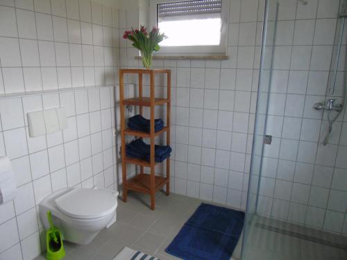 a bathroom with a toilet and a glass shower at Futterhaus neben der Wasserburg Liepen in Gielow