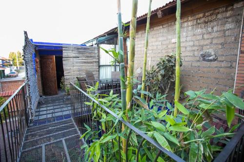 Gallery image of Majikal B&B - Diego Rivera in Cholula