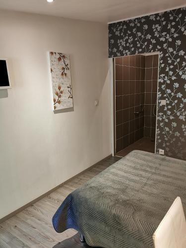 a bedroom with a bed and a wall with a shower at La Chaumiere d Agde in Agde
