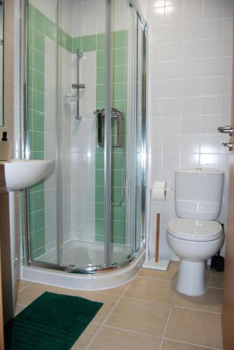 a bathroom with a shower and a toilet and a sink at Casa do Corval in Aldeia do Mato