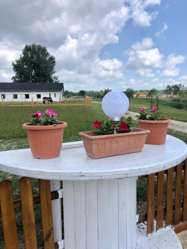 a white table with three pots of flowers on it at KARÁM Vendégház és Lakásétterem in Nagybajcs
