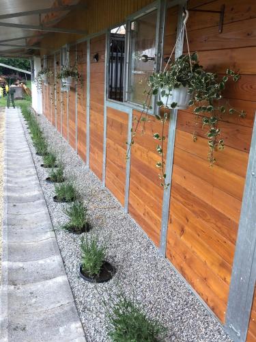 a fence with potted plants on the side of a building at KARÁM Vendégház és Lakásétterem in Nagybajcs