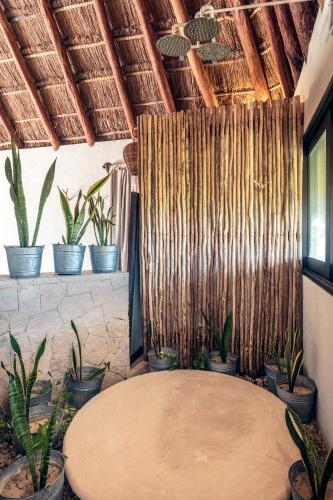 a table in a room with potted plants at Hotel Villas Flamingos in Holbox Island
