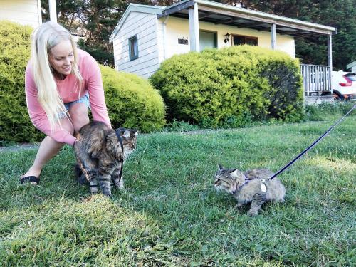 a girl on a leash with two kittens on a leash at Twelve Apostles Motel & Country Retreat in Princetown
