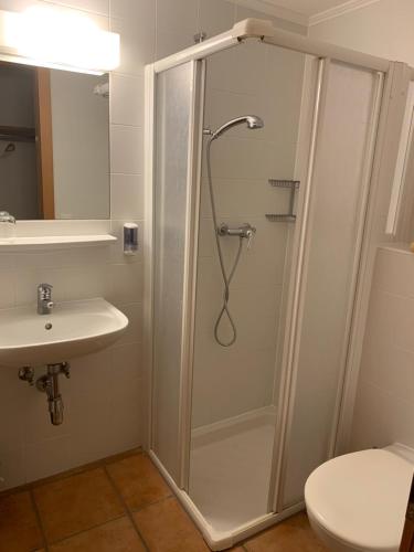 a bathroom with a shower and a toilet and a sink at Ristorante Con alloggio Val Sole in Acquarossa