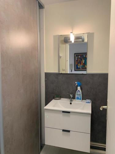une salle de bain avec un lavabo blanc et un miroir dans l'établissement Studio Spacieux dans Parc Arboré, à La Rochelle