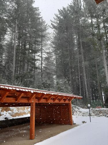 Dimora nel bosco durante l'inverno