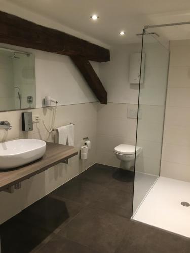 a bathroom with a sink and a toilet at Hotel Lekker in Neumagen-Dhron