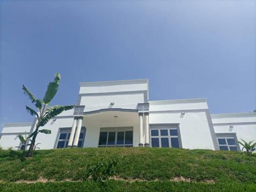 a white house with a palm tree in front of it at Villa Bunyonyi in Kabale