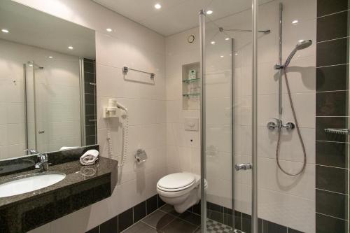 a bathroom with a shower and a toilet and a sink at Hotel Wikinger in Zempin