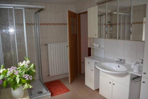 a bathroom with a sink and a shower and a toilet at Ferienhaus Hüthchen in Eichhorst