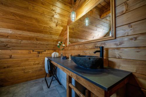 a bathroom with a sink in a wooden cabin at Szałas "Jodłowe Izby" in Białka Tatrzanska