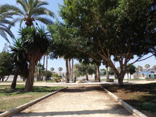 Galeriebild der Unterkunft Nice apartment with spacious terrass and rooftop in Los Alcázares
