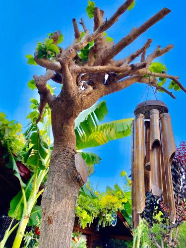 a bird feeder hanging from a tree at Alacati Kayezta Hotel in Alacati