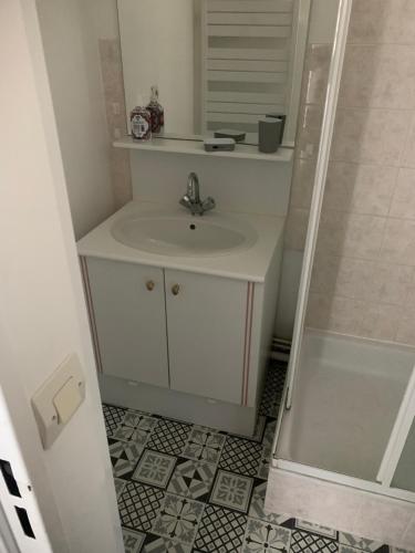 a bathroom with a sink and a shower at Appartement Cabourg bord de mer in Cabourg