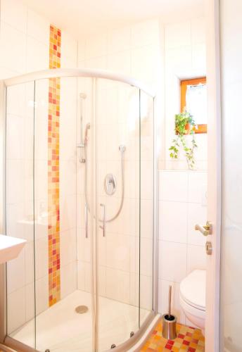 a glass shower in a bathroom with a toilet at Ferienhaus Waldesruh in Mainleus