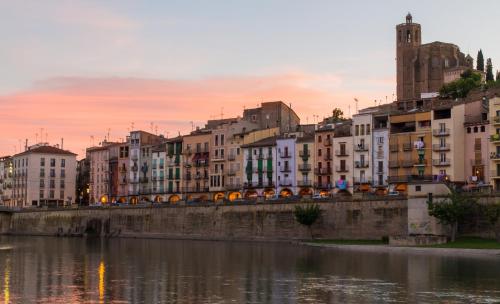 a city with buildings next to a body of water at Hotel Santuari Balaguer in Balaguer