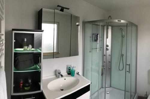 Koupelna v ubytování Ferienhaus Good Times mit eigenem Steg Ferienpark Vislust Ijsselmeer