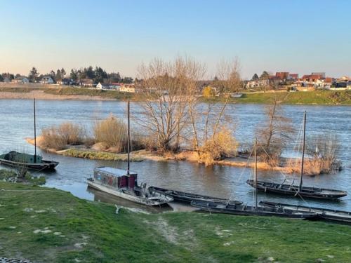 Gallery image of EVASION DE LOIRE in Jargeau