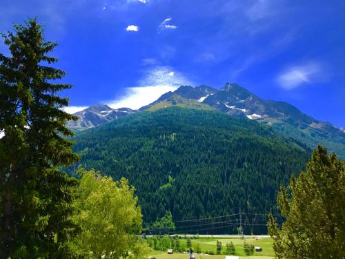 Gallery image of Adlers Apartments Arlberg in Pettneu am Arlberg