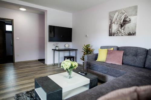 a living room with a couch and a table at Apartments Dora Sveti Martin na Muri in Sveti Martin na Muri