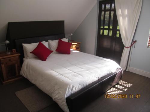 een slaapkamer met een groot bed met rode kussens bij Luxury Secure Flat Apartment in Plattekloof