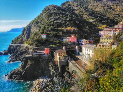 a town on a mountain next to the ocean at L'oblò in Riomaggiore