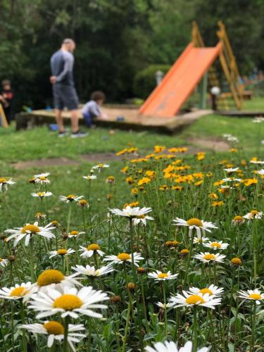 a man and a child in a field of flowers at Hotel Refazenda in Visconde De Maua