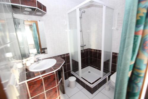 uma casa de banho com um chuveiro e um lavatório. em Gîte Lion d'Or em Le Bonhomme