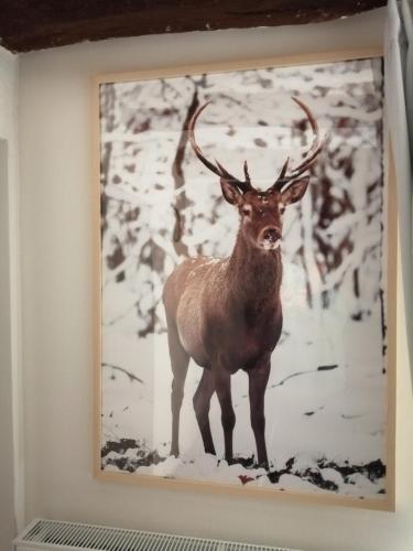a picture of a deer in the snow on a wall at Gîte Le Courtil in Bouillon