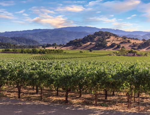 Vino Bello Resort – Photos 2