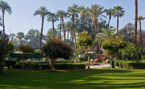 a park with palm trees and green grass at Pavillon Winter Luxor in Luxor