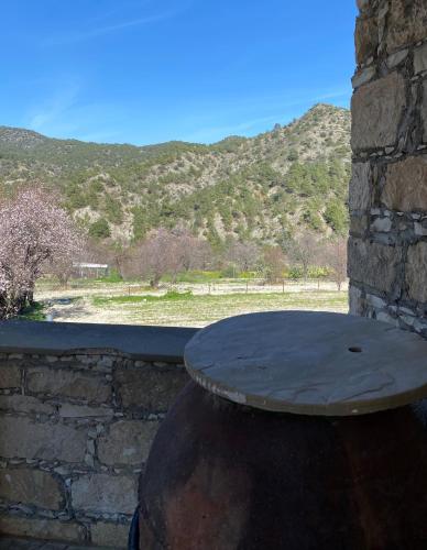 Gallery image of Revecca House in Ayios Mamas