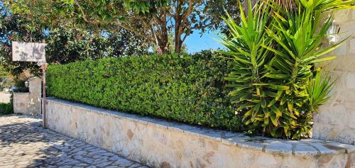 a hedge with plants on it next to a street at Magnolia Apartments in Fiskardho