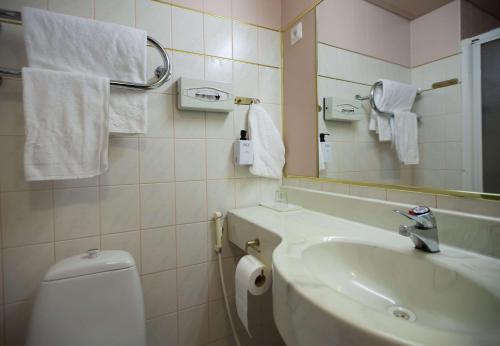 a bathroom with a sink and a toilet and a mirror at Hotel Kajanus in Kajaani