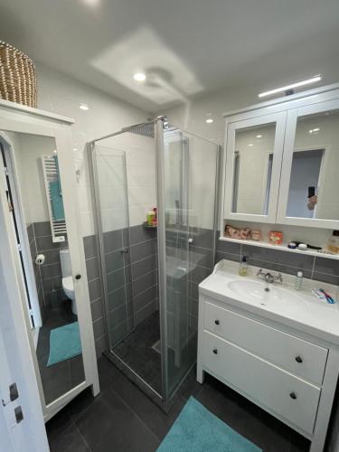 ein Bad mit einer Dusche und einem Waschbecken in der Unterkunft Nyrenoverad lägenhet med havsutsikt in Villefranche-sur-Mer