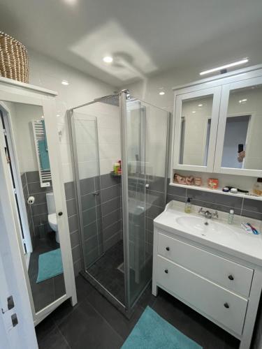 une salle de bain avec douche et lavabo dans l'établissement Nyrenoverad lägenhet med havsutsikt, à Villefranche-sur-Mer
