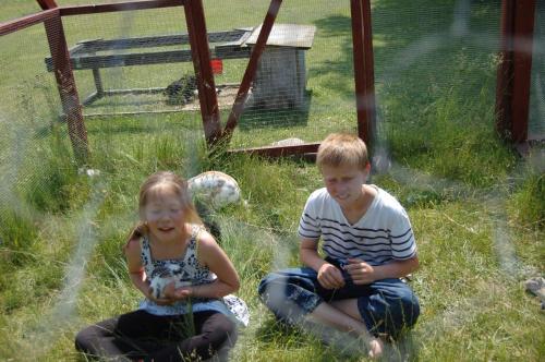 a boy and a girl sitting in the grass at Nordgården Pension in Onsbjerg